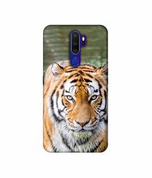 Amazon Brand - Solimo Designer Tiger in Water 3D Printed Hard Back Case Mobile Cover for Oppo A9 (2020)