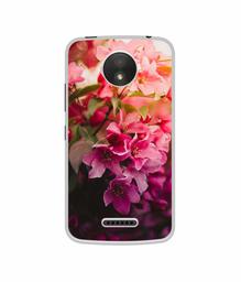 Amazon Brand - Solimo Designer Blossom Weather UV Printed Soft Back Case Mobile Cover for Motorola Moto C Plus