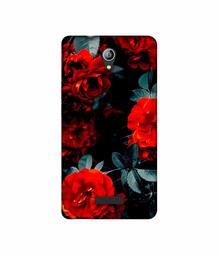 Amazon Brand - Solimo Designer Rose Photography 3D Printed Hard Back Case Mobile Cover for Micromax Canvas Pace 4G Q416