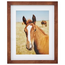 Amazon Brand – Stone & Beam Modern Vibrant Horse Photo, Rustic Brown Frame, 18