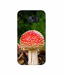 Amazon Brand - Solimo Designer Red Mushroom 3D Printed Hard Back Case Mobile Cover for Samsung Galaxy S7 Edge