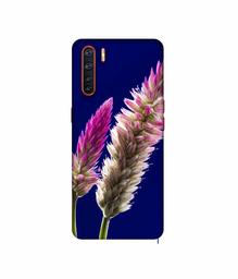 Amazon Brand - Solimo Designer Wheat Flower 3D Printed Hard Back Case Mobile Cover for Oppo A91