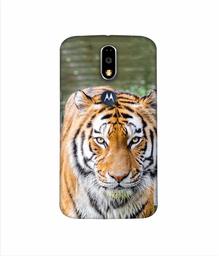 Amazon Brand - Solimo Designer Tiger in Water 3D Printed Hard Back Case Mobile Cover for Motorola Moto G4 Plus (with Logo Cut)