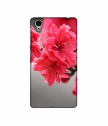 Amazon Brand - Solimo Designer Blossom Like Flower 3D Printed Hard Back Case Mobile Cover for Vivo Y51L