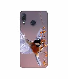 Amazon Brand - Solimo Designer Bird 3D Printed Hard Back Case Mobile Cover for Asus Zenfone Max M1 ZB555KL