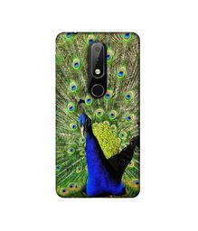 Amazon Brand - Solimo Designer Peacock 3D Printed Hard Back Case Mobile Cover for Nokia 6.1 Plus