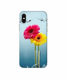 Amazon Brand - Solimo Designer Sun Flower 3D Printed Hard Back Case Mobile Cover for Apple iPhone Xs Max