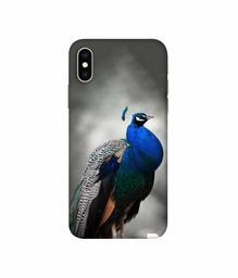 Amazon Brand - Solimo Designer Peacock 3D Printed Hard Back Case Mobile Cover for Apple iPhone Xs Max