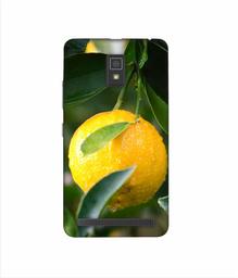 Amazon Brand - Solimo Designer Lemon 3D Printed Hard Back Case Mobile Cover for Lenovo A6600