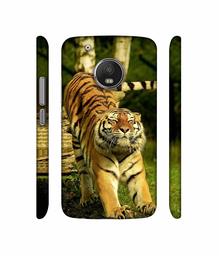 Amazon Brand - Solimo Designer Tiger 3D Printed Hard Back Case Mobile Cover for Motorola Moto G5 Plus