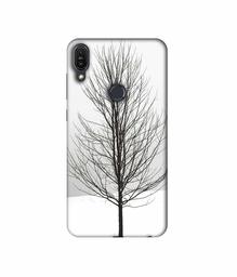 Amazon Brand - Solimo Designer Tree Sketch 3D Printed Hard Back Case Mobile Cover for Asus Zenfone Max Pro M1 ZB601KL