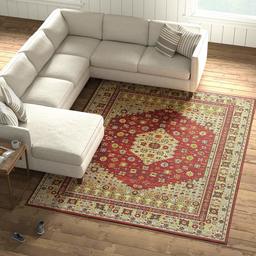 Amazon Brand – Stone & Beam Contemporary Medallion Area Rug, 7' 10