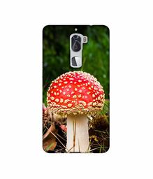 Amazon Brand - Solimo Designer Red Mushroom 3D Printed Hard Back Case Mobile Cover for Coolpad Cool1 Dual