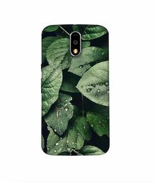 Amazon Brand - Solimo Designer Leafs 3D Printed Hard Back Case Mobile Cover for Motorola Moto G4 Plus