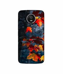 Amazon Brand - Solimo Designer Autumn Leaf 3D Printed Hard Back Case Mobile Cover for Motorola Moto G5