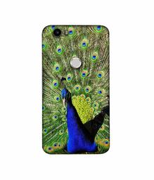 Amazon Brand - Solimo Designer Peacock 3D Printed Hard Back Case Mobile Cover for Nexus 6P