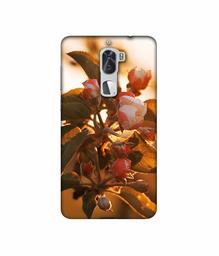 Amazon Brand - Solimo Designer Flowers 3D Printed Hard Back Case Mobile Cover for Coolpad Cool1 Dual