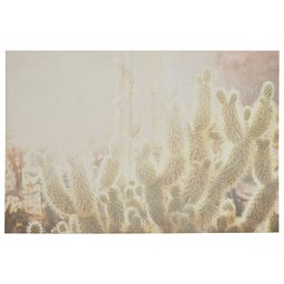 Amazon Brand – Rivet Sun Exposed Cactus Canvas Photo Print 60