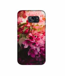 Amazon Brand - Solimo Designer Blossom Weather 3D Printed Hard Back Case Mobile Cover for Samsung Galaxy S7 Edge