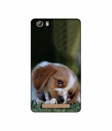 Amazon Brand - Solimo Designer Cute Puppy 3D Printed Hard Back Case Mobile Cover for Gionee Marathon M5 lite