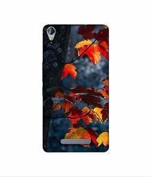 Amazon Brand - Solimo Designer Autumn Leaf 3D Printed Hard Back Case Mobile Cover for Micromax Canvas Juice 3Plus Q394