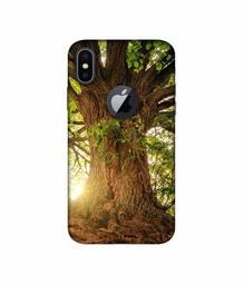 Amazon Brand - Solimo Designer Tree Trunk 3D Printed Hard Back Case Mobile Cover for Apple iPhone X (Logo Cut)