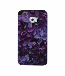 Amazon Brand - Solimo Designer Purple Flowers 3D Printed Hard Back Case Mobile Cover for Samsung Galaxy S6