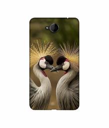 Amazon Brand - Solimo Designer Birds 3D Printed Hard Back Case Mobile Cover for Microsoft Lumia 650