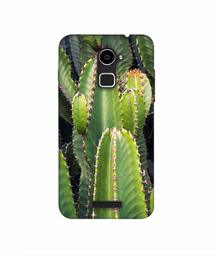 Amazon Brand - Solimo Designer Desert Plant 3D Printed Hard Back Case Mobile Cover for Coolpad Note 3 Lite