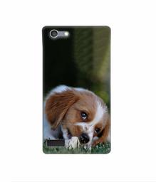 Amazon Brand - Solimo Designer Cute Puppy 3D Printed Hard Back Case Mobile Cover for Oppo Neo 7