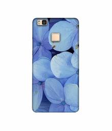 Amazon Brand - Solimo Designer Light Blue Flower Photography 3D Printed Hard Back Case Mobile Cover for Huawei P9 lite