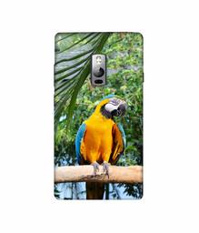 Amazon Brand - Solimo Designer Macaw Bird 3D Printed Hard Back Case Mobile Cover for OnePlus 2