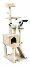 AmazonBasics - Árbol con varias torres para gatos, grande, 61x154,9x48,3 cm, beige