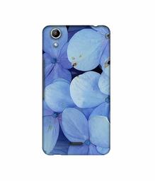 Amazon Brand - Solimo Designer Light Blue Flower Photography 3D Printed Hard Back Case Mobile Cover for Micromax Canvas Selfie Lens Q345