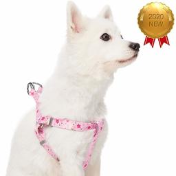 Umi. Essential Made Well Floral Dog Harness