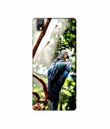 Amazon Brand - Solimo Designer Macaw Parrot 3D Printed Hard Back Case Mobile Cover for Oppo A35