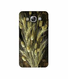 Amazon Brand - Solimo Designer Wheat Plants 3D Printed Hard Back Case Mobile Cover for Samsung Galaxy E5