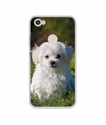 Amazon Brand - Solimo Designer White Dog UV Printed Soft Back Case Mobile Cover for Mi Redmi Y1 (Note 5A)