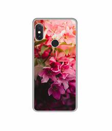 Amazon Brand - Solimo Designer Blossom Weather UV Printed Soft Back Case Mobile Cover for Mi Redmi Note 5 Pro