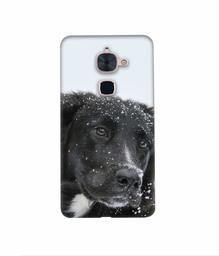 Amazon Brand - Solimo Designer Labrador Dog 3D Printed Hard Back Case Mobile Cover for LeTV Le 2