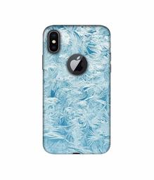 Amazon Brand - Solimo Designer Feather Texture 3D Printed Hard Back Case Mobile Cover for Apple iPhone X (Logo Cut)