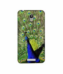 Amazon Brand - Solimo Designer Peacock 3D Printed Hard Back Case Mobile Cover for Micromax Canvas Spark Q380