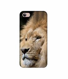 Amazon Brand - Solimo Designer Lion 3D Printed Hard Back Case Mobile Cover for Vivo Y81i