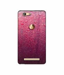 Amazon Brand - Solimo Designer Apple Texture 3D Printed Hard Back Case Mobile Cover for Gionee F103 Pro