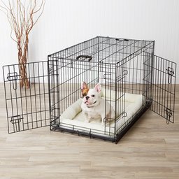 AmazonBasics Double-Door Dog Crate and Padded Bolster Bed – Medium