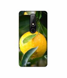 Amazon Brand - Solimo Designer Lemon 3D Printed Hard Back Case Mobile Cover for Nokia 6.1 Plus