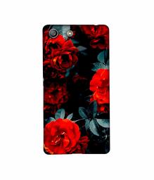 Amazon Brand - Solimo Designer Rose Photography 3D Printed Hard Back Case Mobile Cover for Sony Xperia M5 Dual