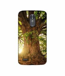 Amazon Brand - Solimo Designer Tree Trunk 3D Printed Hard Back Case Mobile Cover for LG Stylus 3