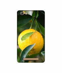 Amazon Brand - Solimo Designer Lemon 3D Printed Hard Back Case Mobile Cover for Gionee Marathon M5 lite