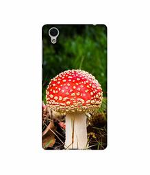 Amazon Brand - Solimo Designer Red Mushroom 3D Printed Hard Back Case Mobile Cover for Vivo Y51L